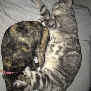 Meet your Posher, Kylee